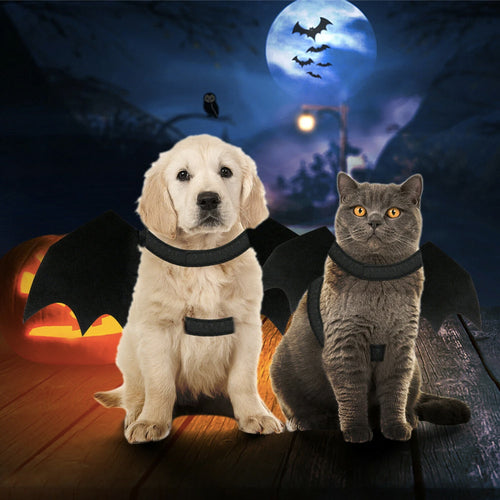 Bat Wings Halloween Costume Cat & Dogs